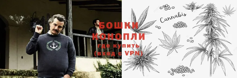 Бошки Шишки OG Kush  Беслан 